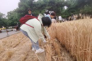 雷竞技电竞注册